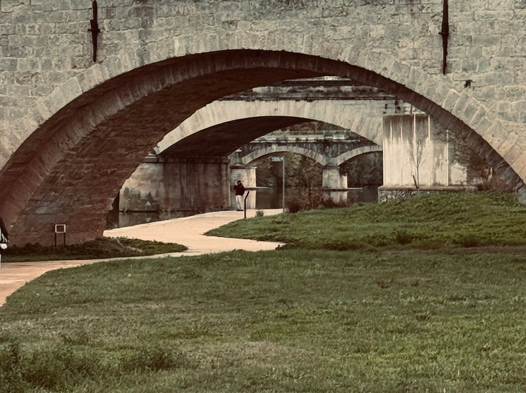 Pont Vieux-贝济耶必去景点