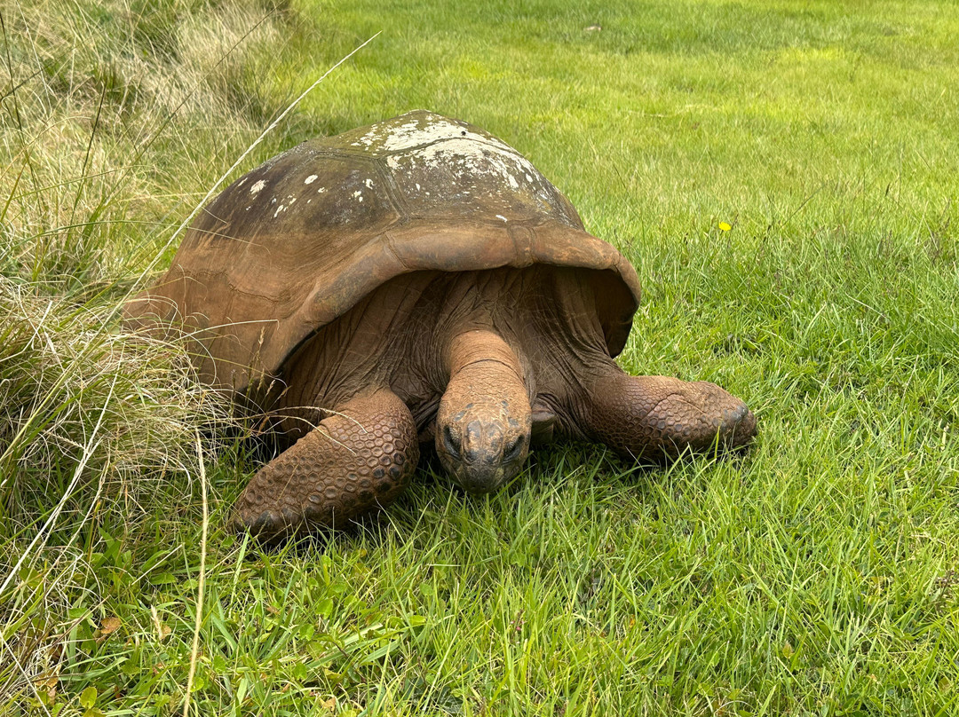 Aaron's Adventure Tours-Jamestown必去景点