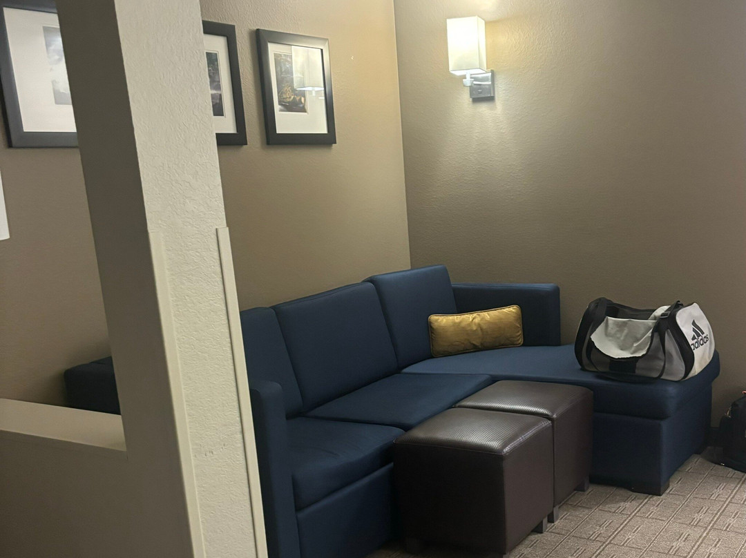 Comfort Inn & Suites North Mankato主图