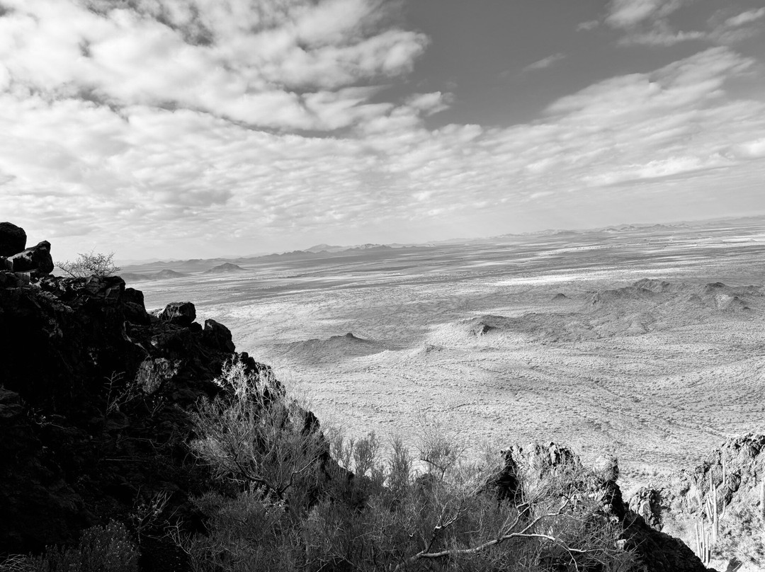 Picacho Peak State Park-Picacho必去景点