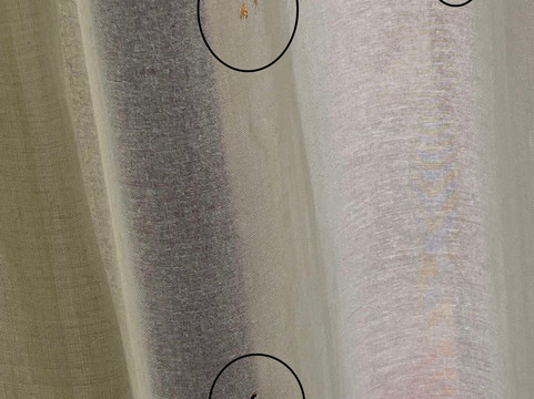 维多利亚盛美利亚酒店主图