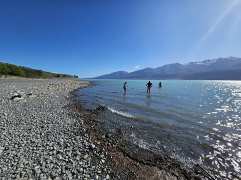 布雷马牧场主图