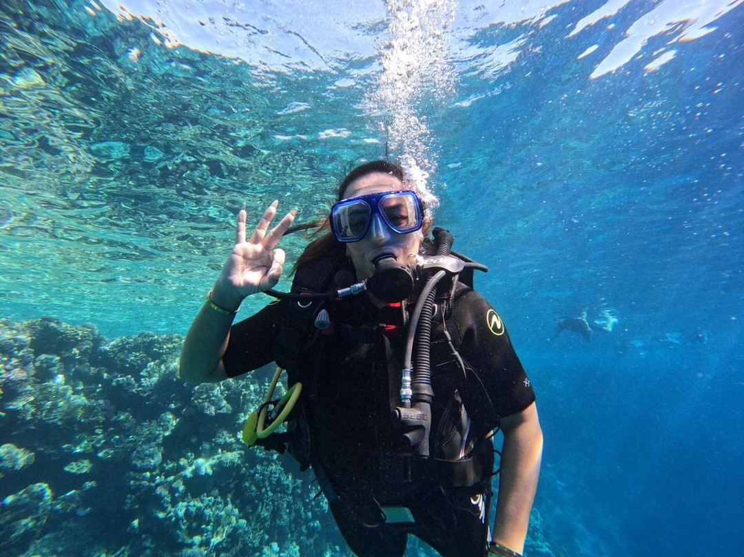 Jasmine Tours-沙姆沙伊赫必去景点