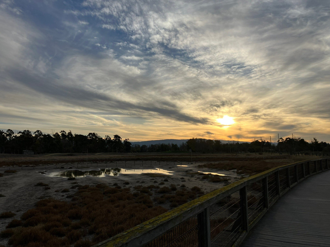 Baylands Park-森尼韦尔必去景点