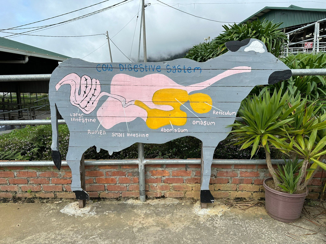 Remarkable Borneo Travel & Tours Sdn Bhd-兵南邦必去景点