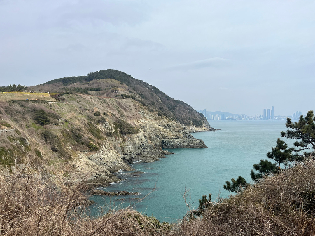 五六岛天空步道-釜山必去景点