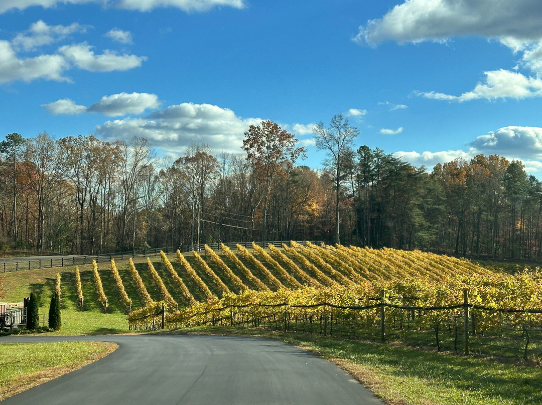Roo Mountain Vineyards-Ellijay必去景点