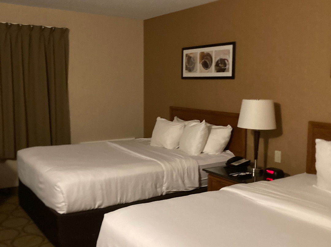 Comfort Inn Sydney主图