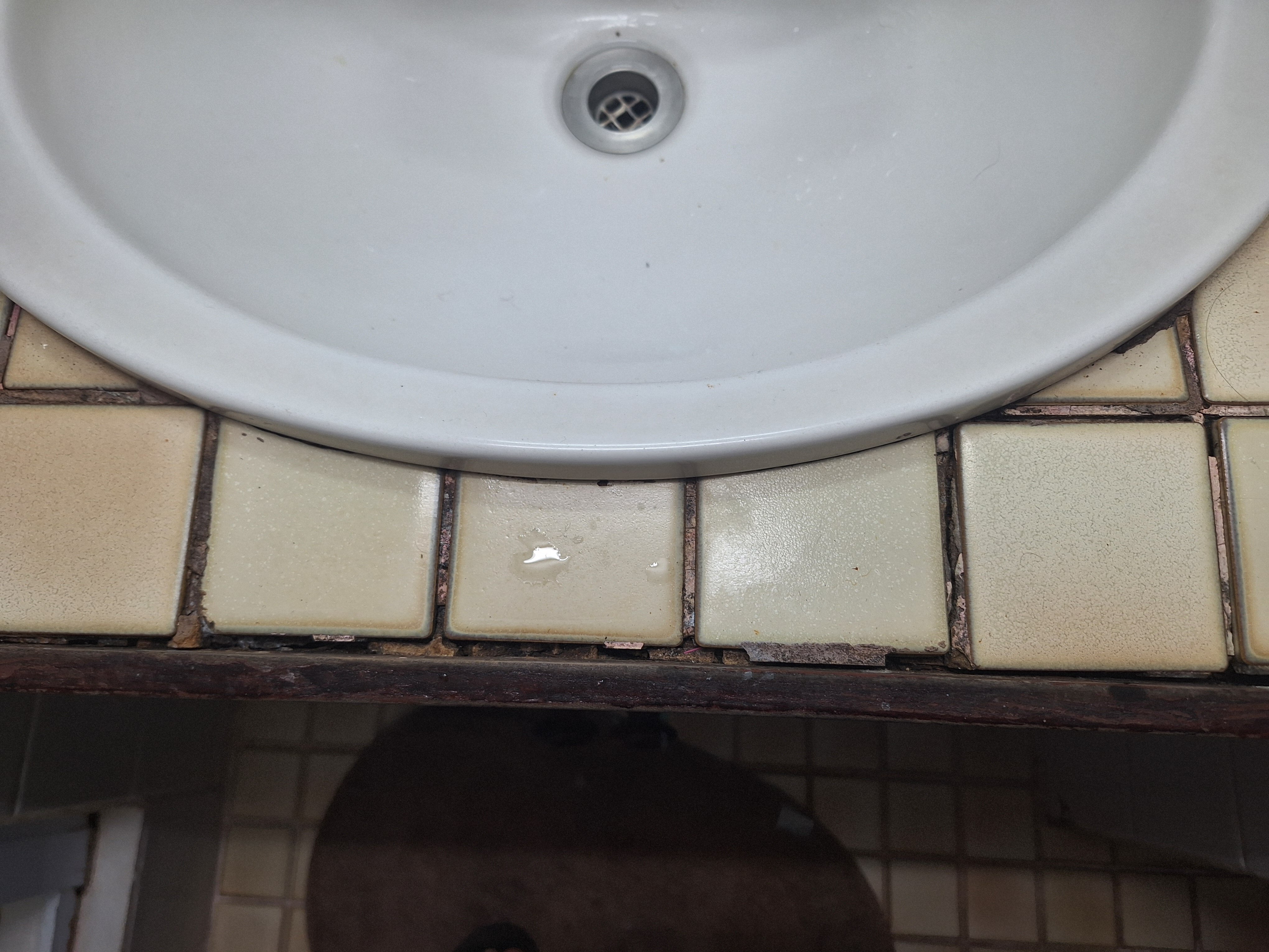 Elixir Motel Apartments-官方