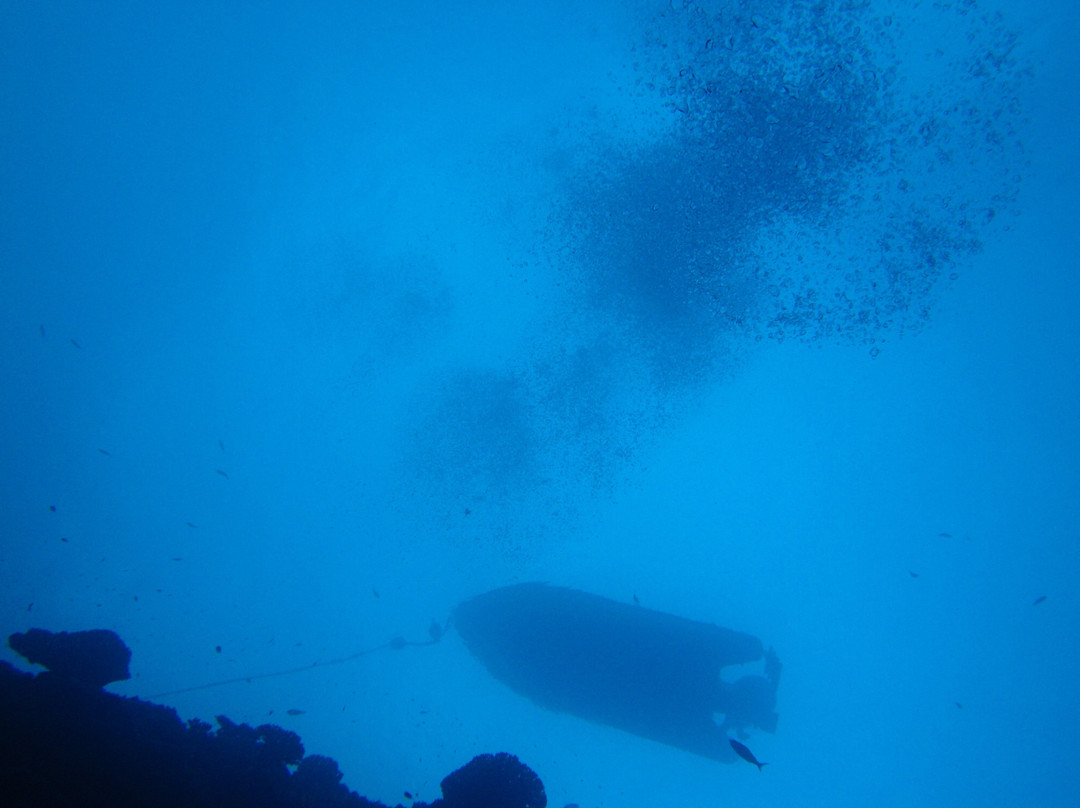 Niue Blue Island Experiences-阿洛菲必去景点