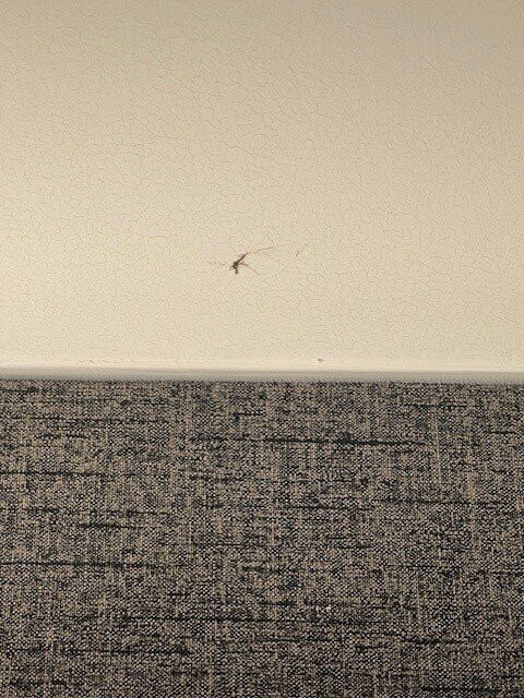 Sheraton Nashua主图