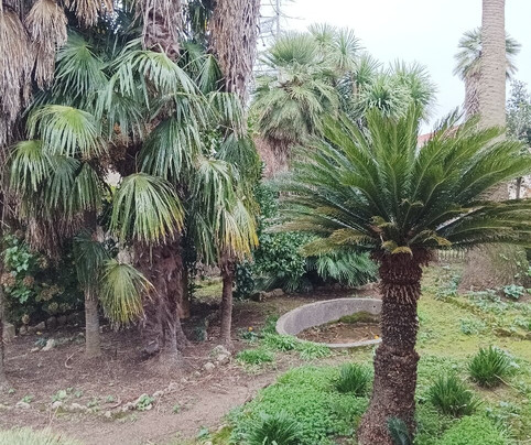 Centro Storico Di Cortale-Cortale必去景点