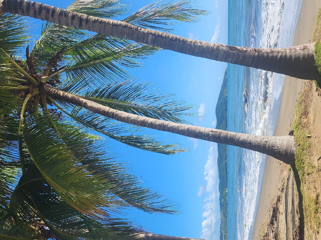 帕拉多帕尔马斯露西亚主图