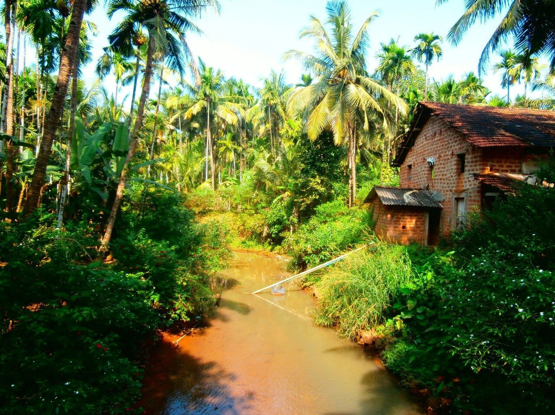 Dudhsagar Plantation-Mollem National Park必去景点
