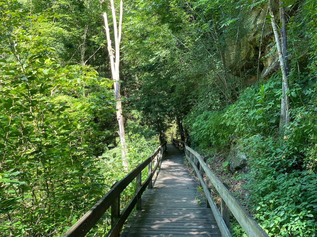 Lanterman's Mill-扬斯敦必去景点