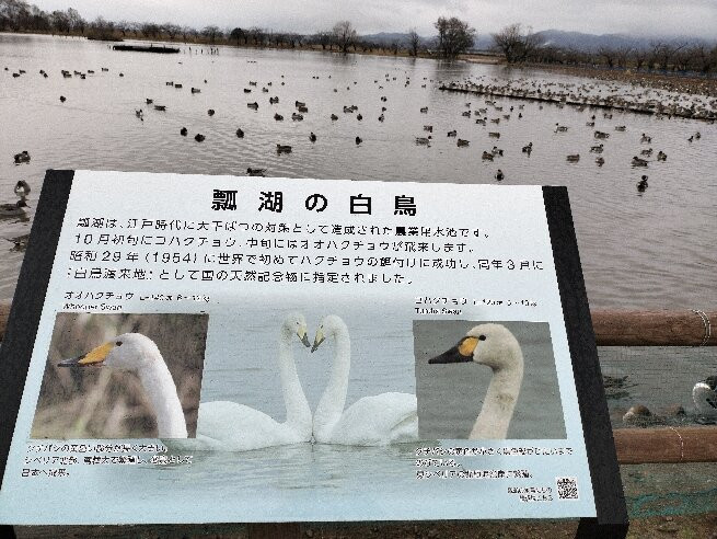 Hyokosuikin Park-阿贺野市必去景点