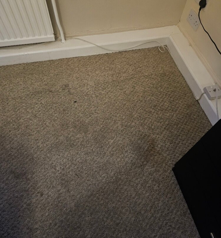 Maes Manor Hotel主图