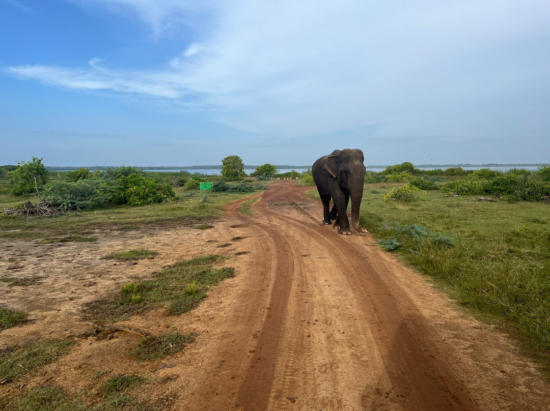 Ajith吉普车游猎之旅-蒂瑟默哈拉默必去景点