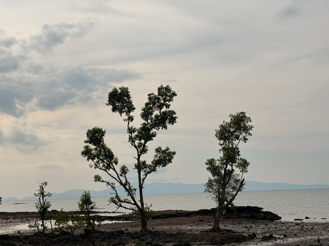 Sai Khao Beach-沙敦必去景点