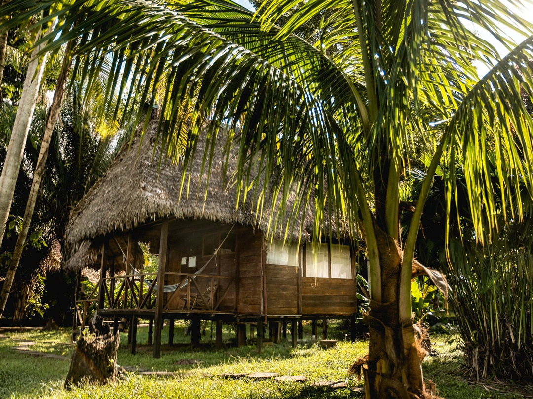 Wasai Tambopata Lodge主图