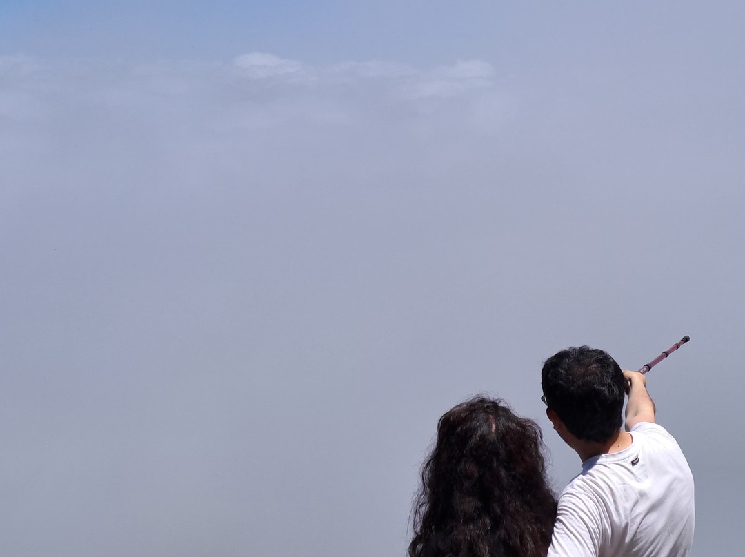 Parque Pico Toribio-Futrono必去景点