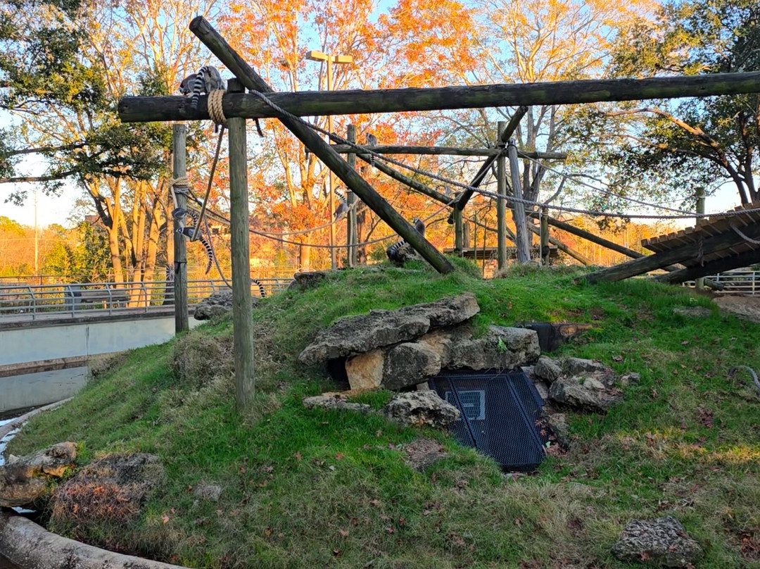 Montgomery Zoo-蒙哥马利必去景点