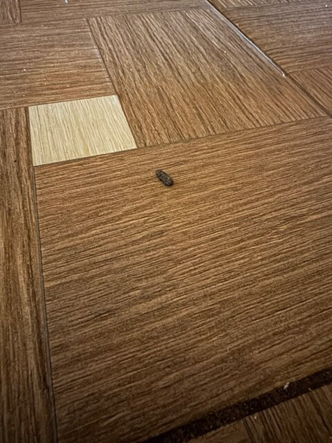 Hotel Budamar Zipolite主图