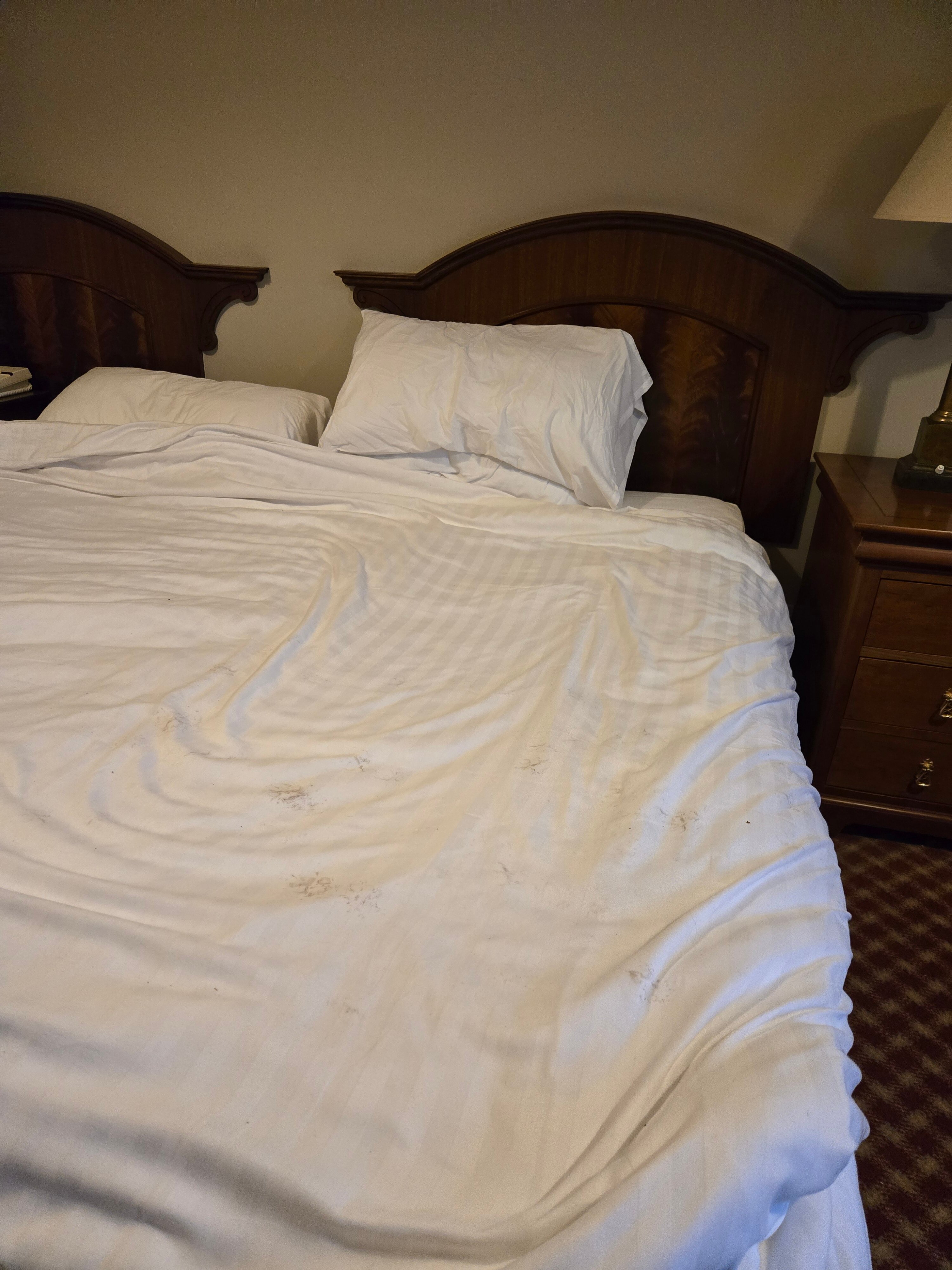 Stuart House Hotel-官方