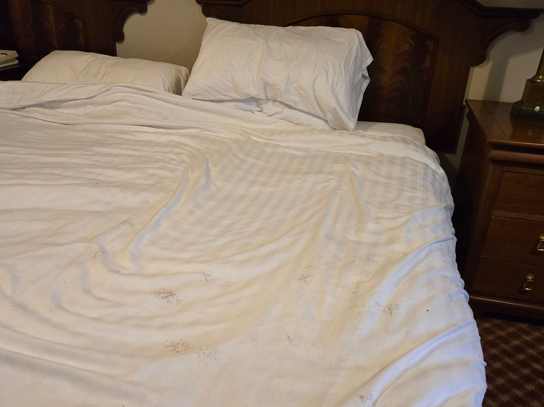 Stuart House Hotel主图