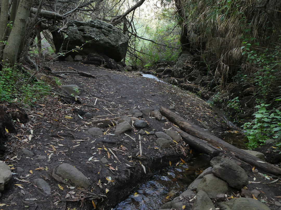 Barranco De Los Cernicalos景点图片
