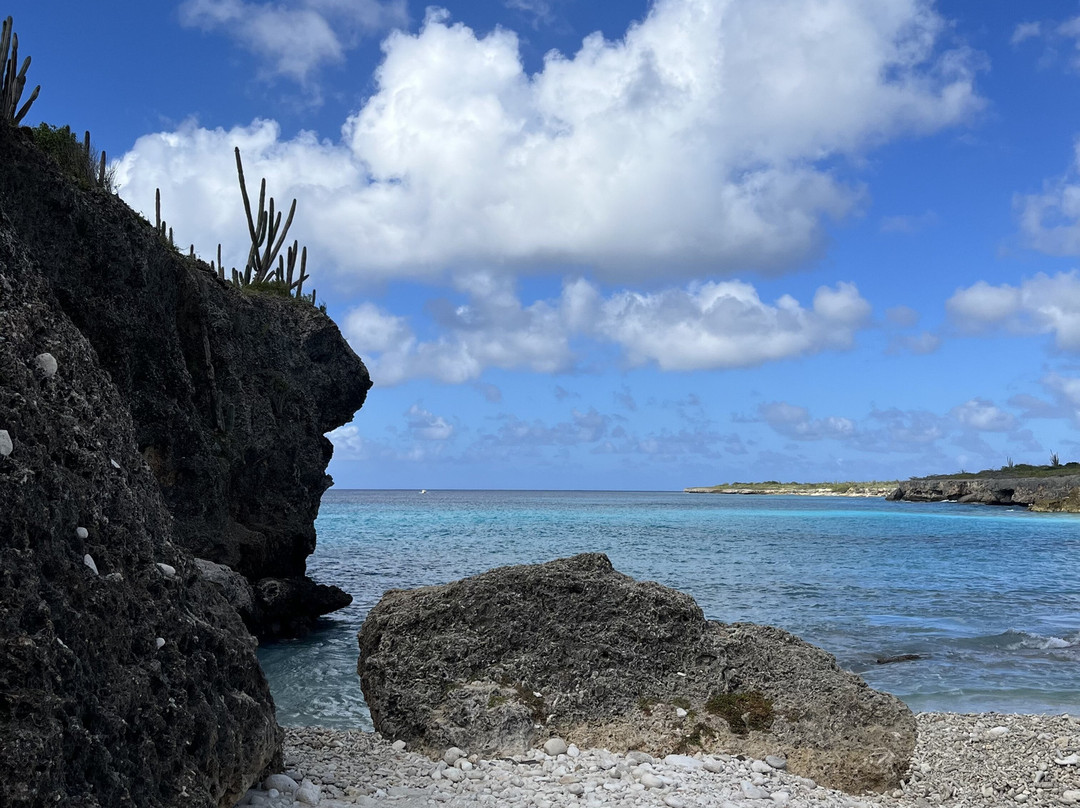 Washington Slagbaai National Park-Rincon必去景点