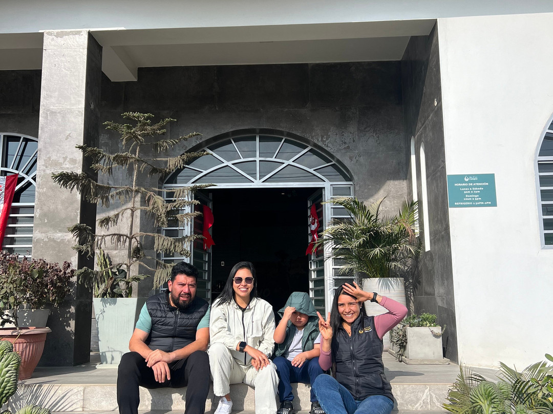 Viña D´los Campos-Nuevo Imperial必去景点