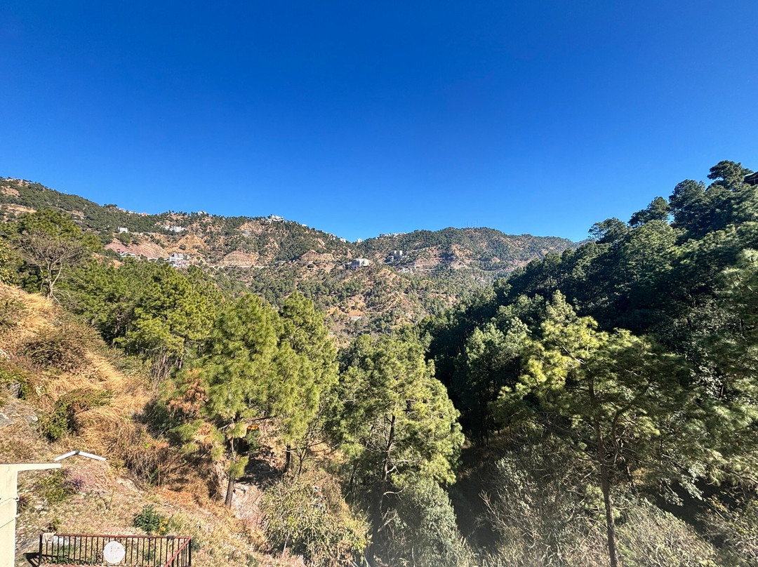 Misty Meadows Resorts主图