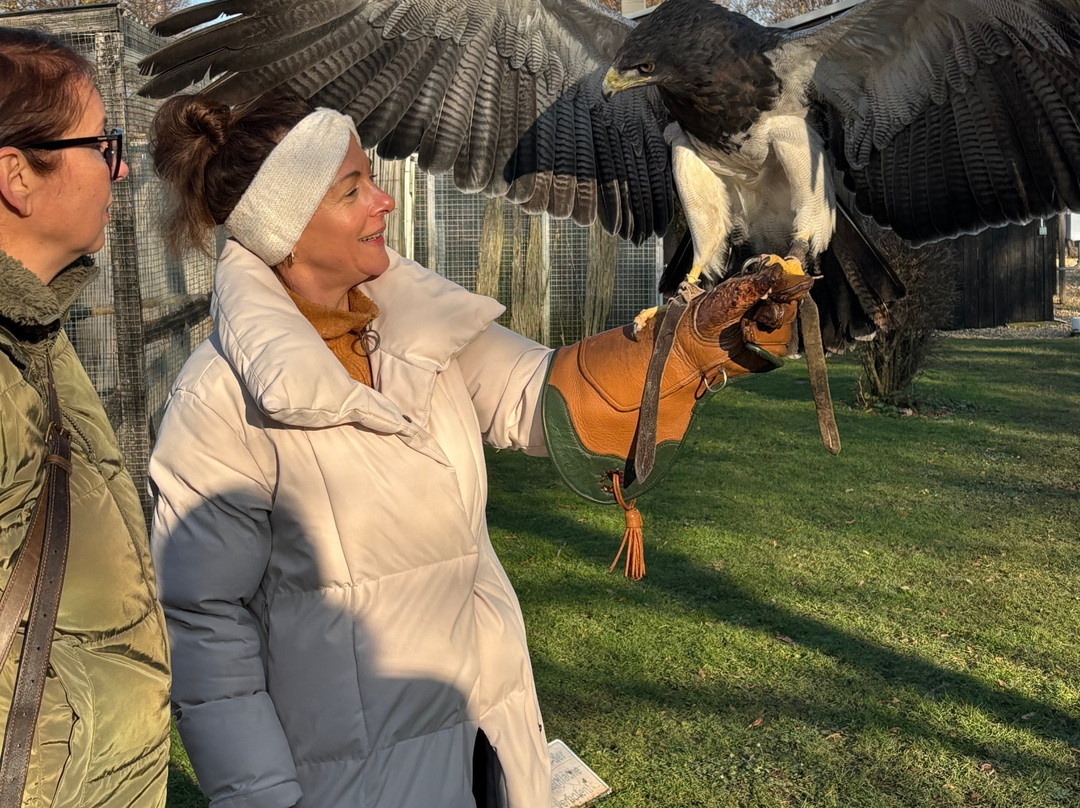 Falknerei Pierre Schmidt-Erftstadt必去景点