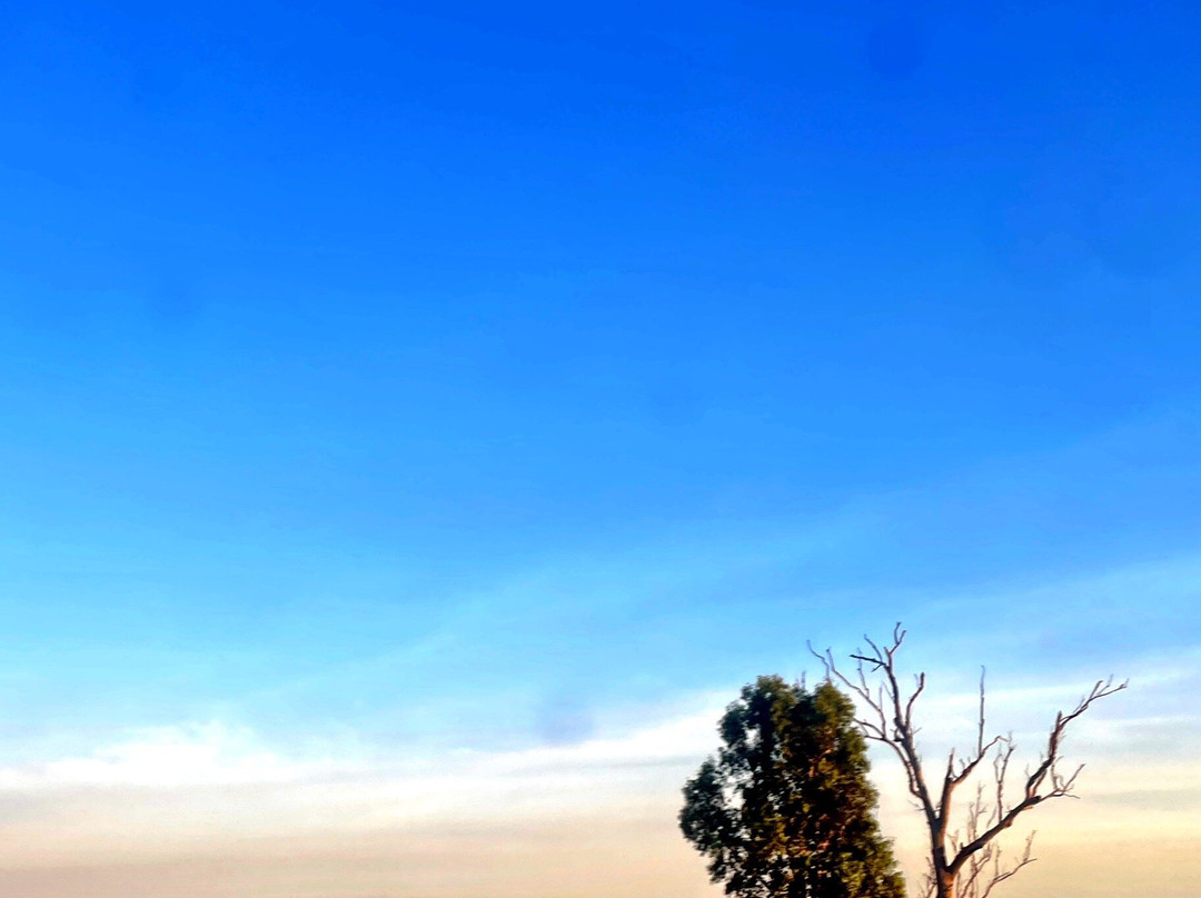 Spirit of the Outback-Longreach必去景点
