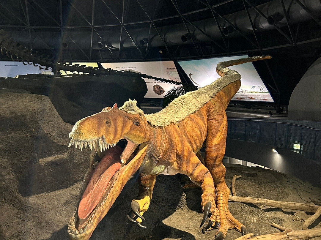 Hourseshoe Crab Museum-笠冈市必去景点
