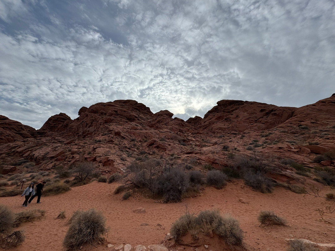 Mouse's Tank-欧弗顿必去景点
