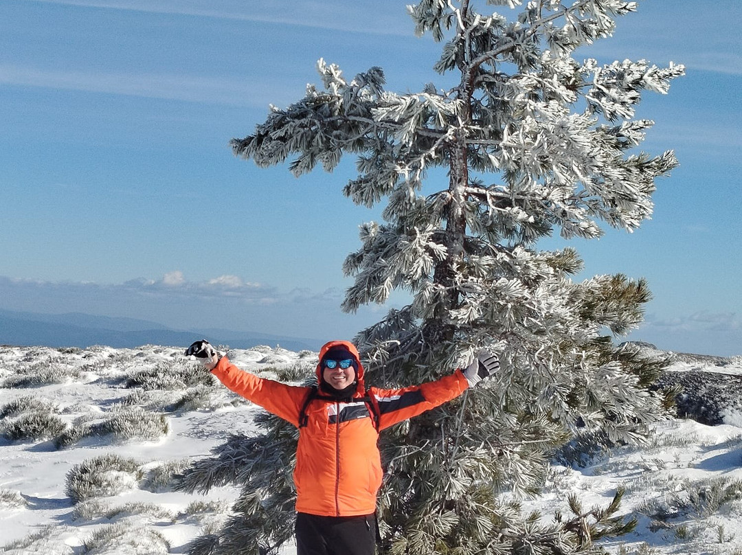 Tour Serra Da Estrela景点图片