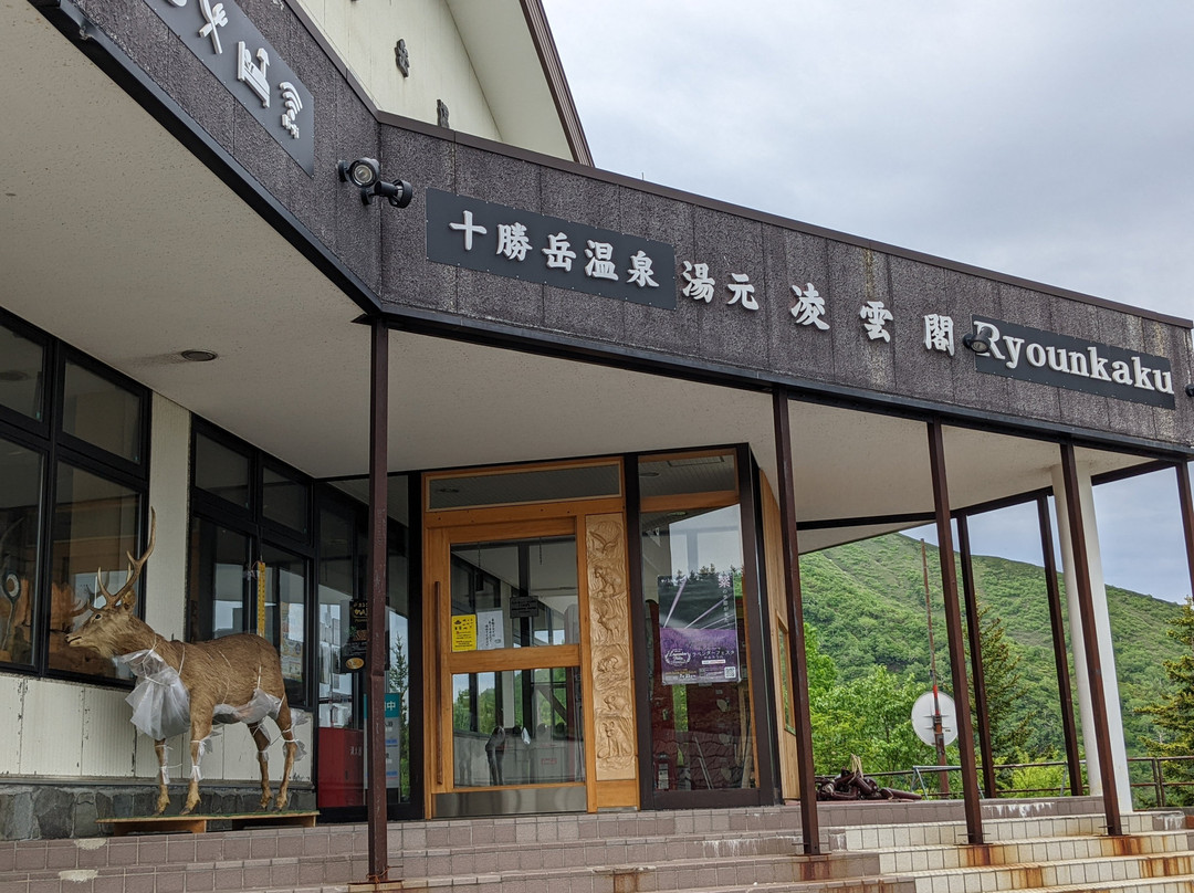 凌云阁酒店主图