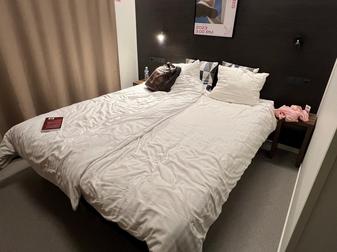 Aiden by Best Western Herning主图