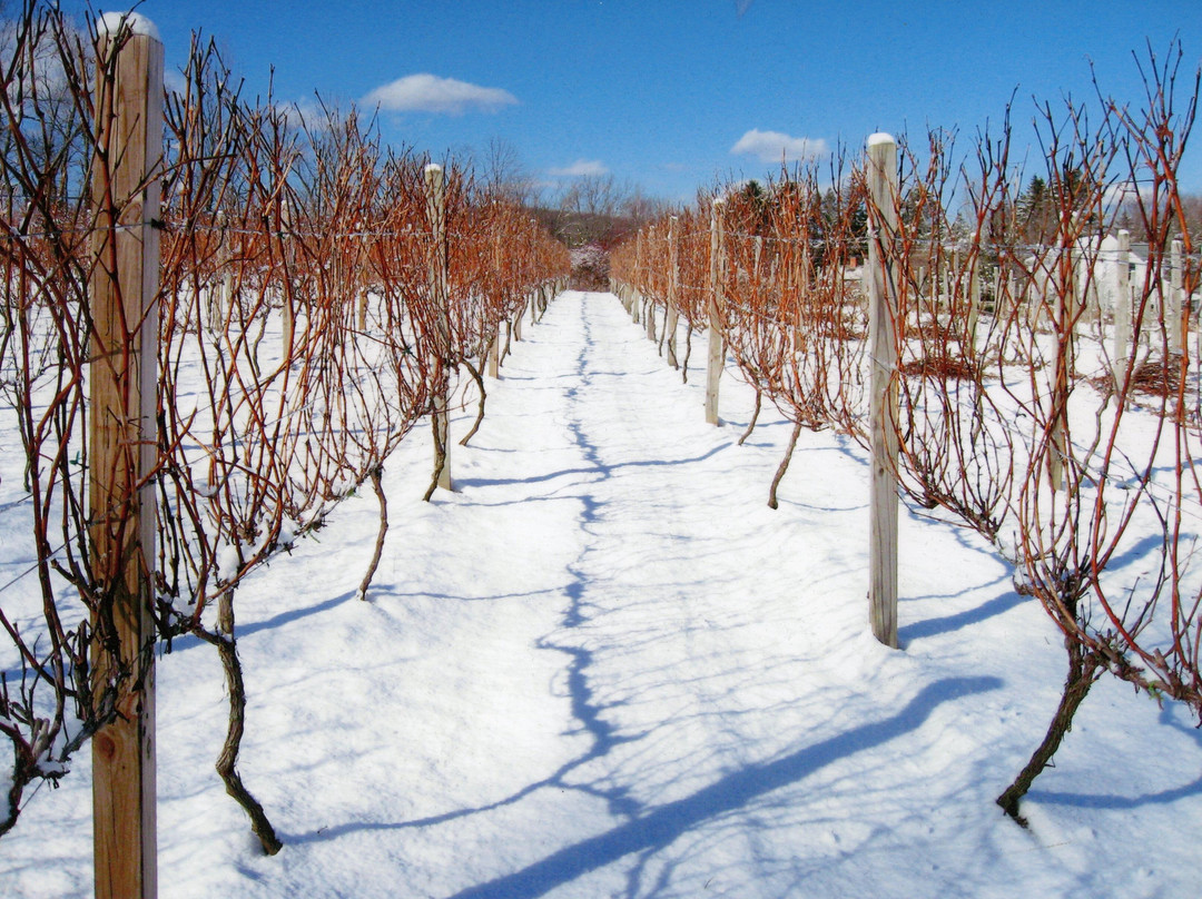 Taylor Brooke Winery-Woodstock必去景点