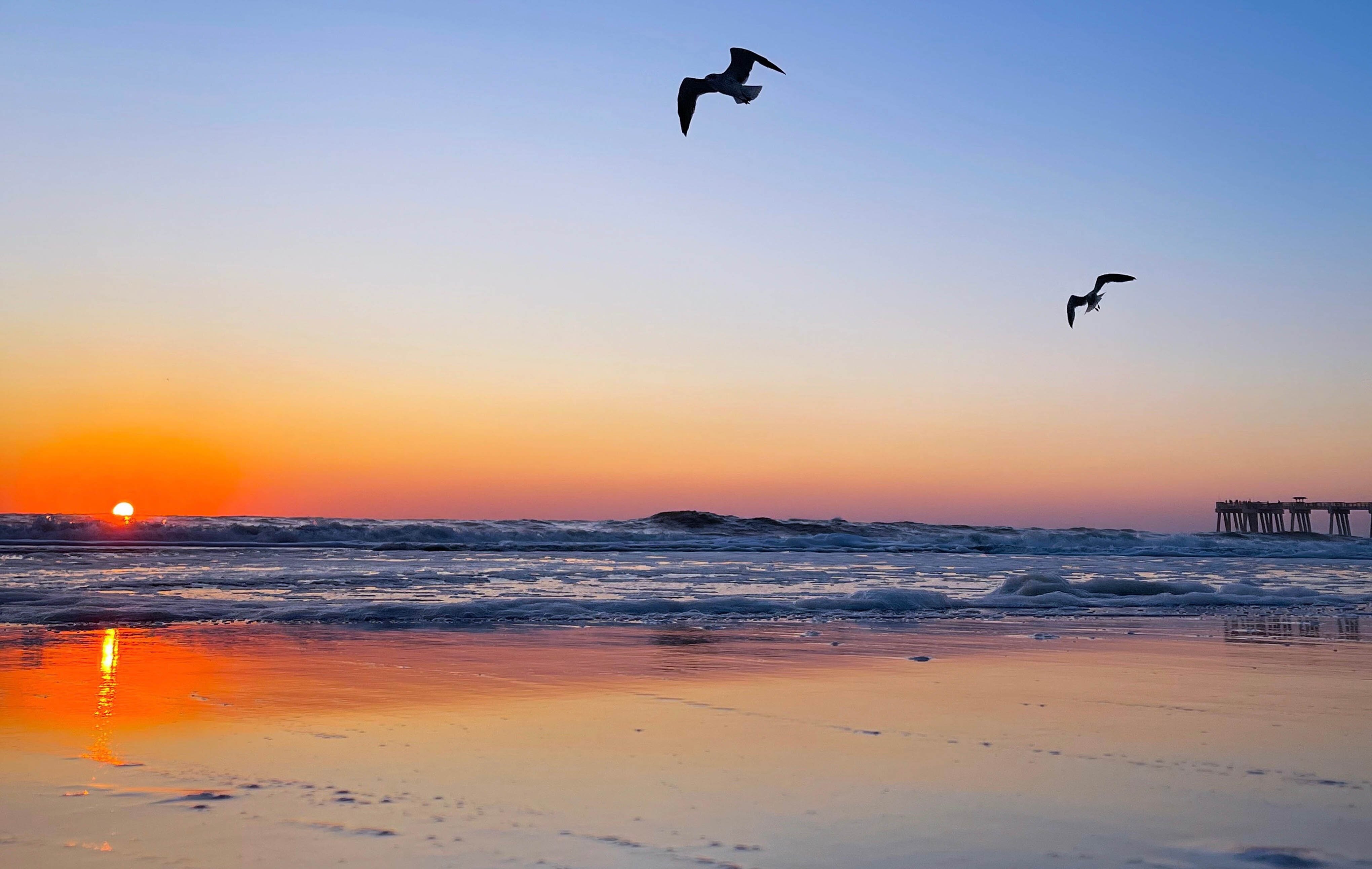 Margaritaville Beach Hotel Jacksonville Beach-泳池