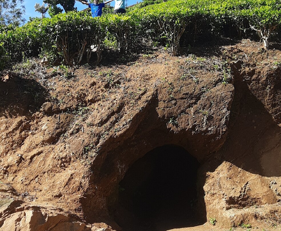 Pazhassi's Cave-Cherambadi必去景点