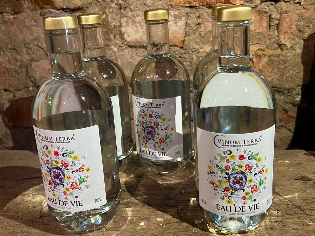 Vinum Terra - Vinhos Orgânicos e Biodinâmicos-Monte Belo do Sul必去景点