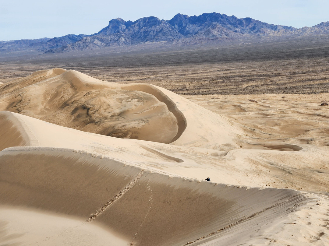 Mojave National Preserve-巴斯托必去景点