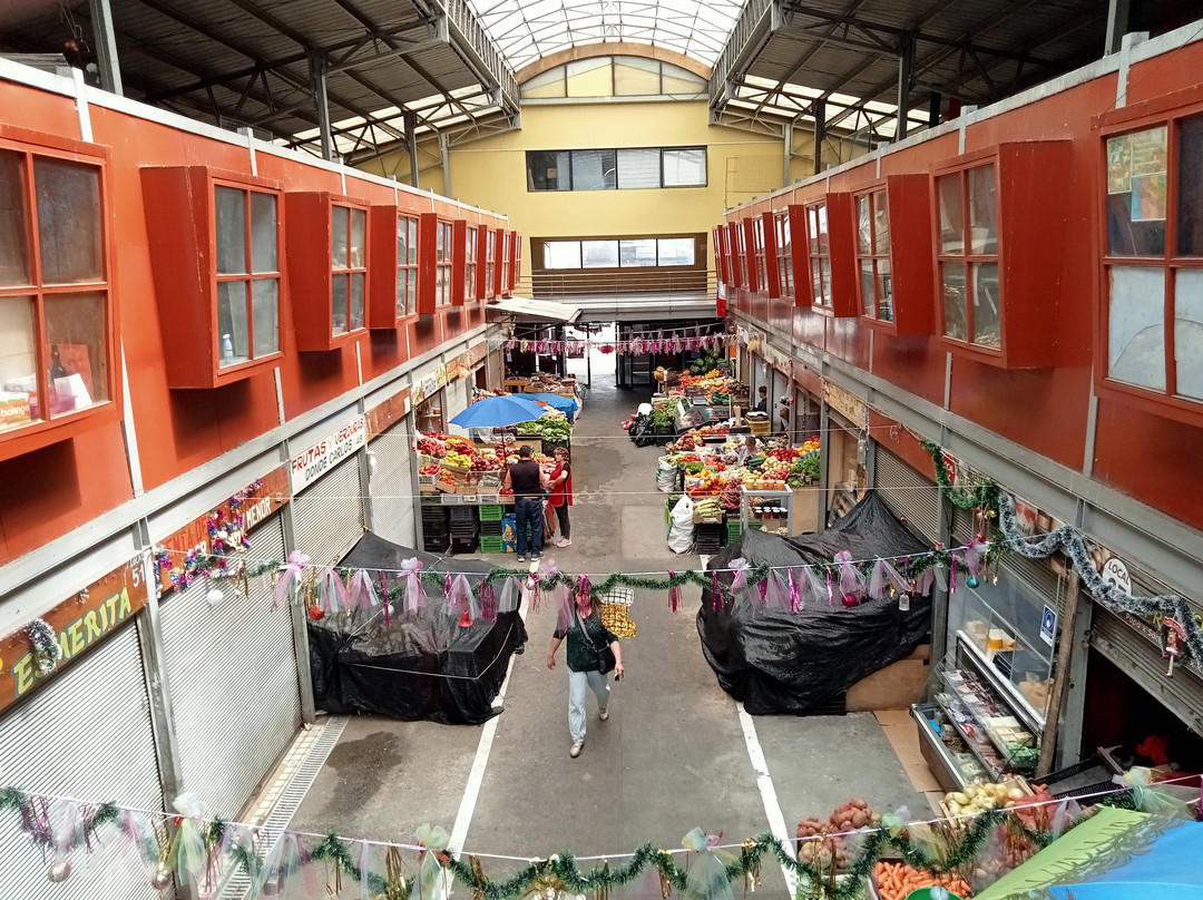 Mercado Presidente Ibanez-蒙特港必去景点
