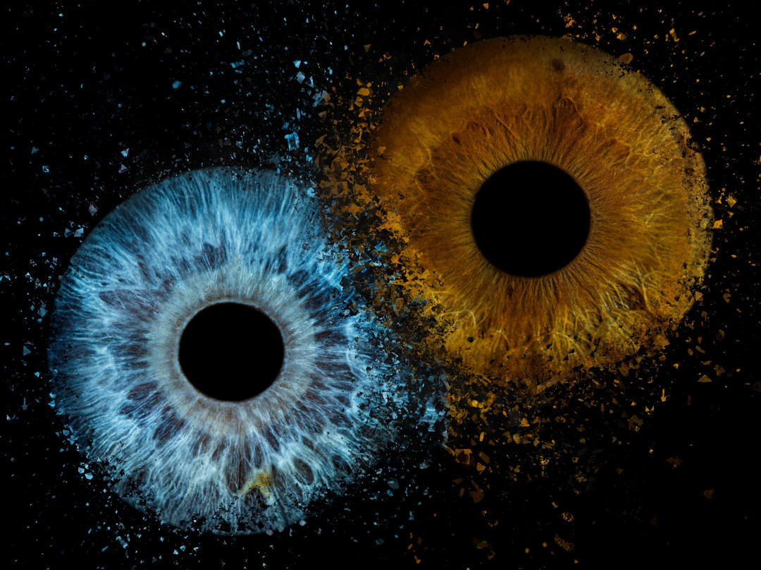 Eyemazy Amsterdam景点图片