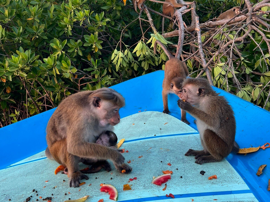 Anuhas Airport Villas主图