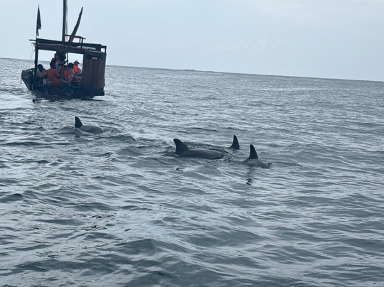 Safari In Kenya Con Batman E Gianni-瓦塔木必去景点