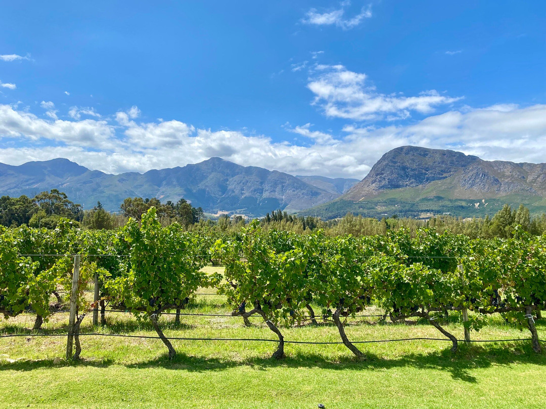 Holden Manz Wine Estate-法兰舒克必去景点